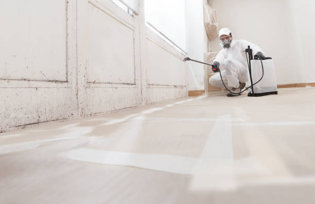 24/7 Emergency Mold Remediation experts in Frederick, CO